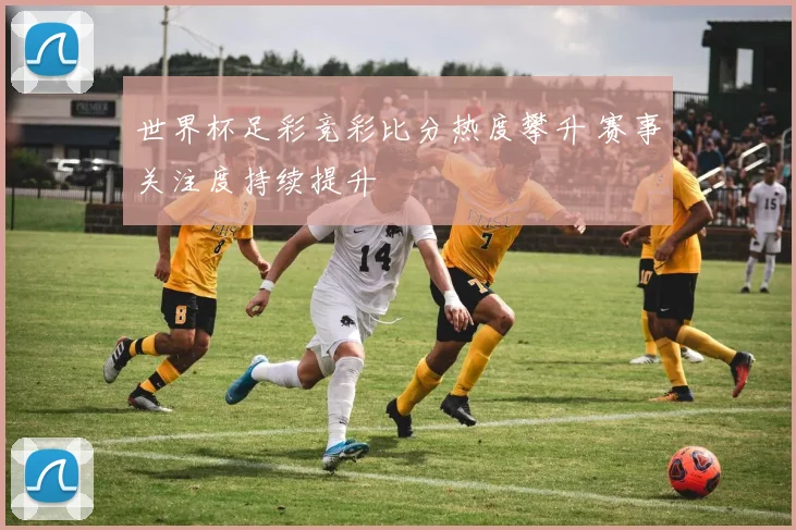 世界杯足彩竞彩比分热度攀升 赛事关注度持续提升